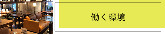 会社概要 採用情報